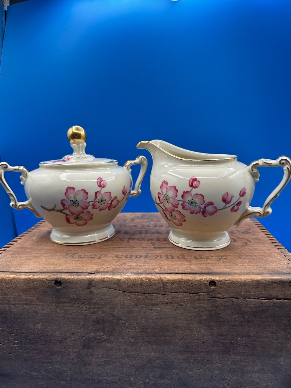 Heinrich Bavaria "Christine" Sugar & Creamer Set – Cherry Blossom-Ivory Body